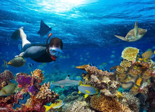 Dive deeper, Discover More